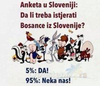 bosanci-u-sloveniji.jpg