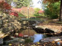 Nelson-Park-Fisher-Rock-Garden.jpg