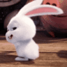 @Fluffy_bunny
