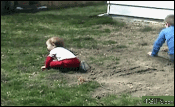 0 YRz94.gif