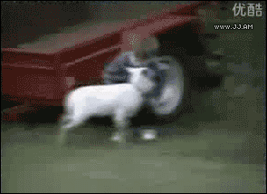00 sAlyLOG.gif