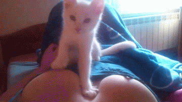 1 xmB8fQJ.gif