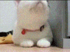 1421963302918.gif