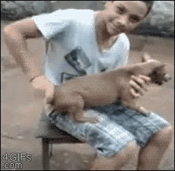 1422091801078.gif