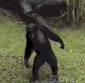 1424339406502.gif