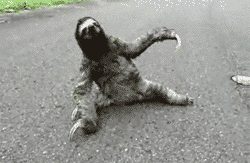1424379315236.gif