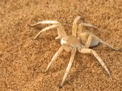 1424455519787.gif