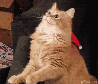 1462967316537.gif