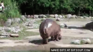 1463666825433.gif