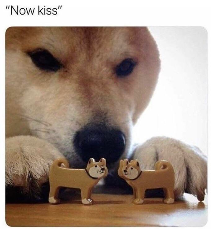 1588260671539.png