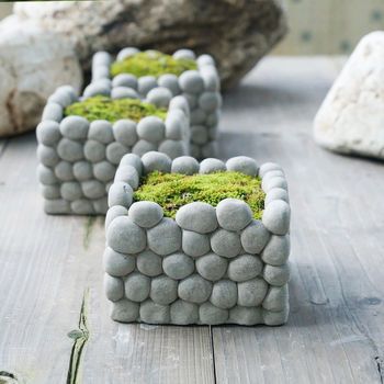 1e191311ac780132b49f0c242c0883ea--terrariums-planters.jpg