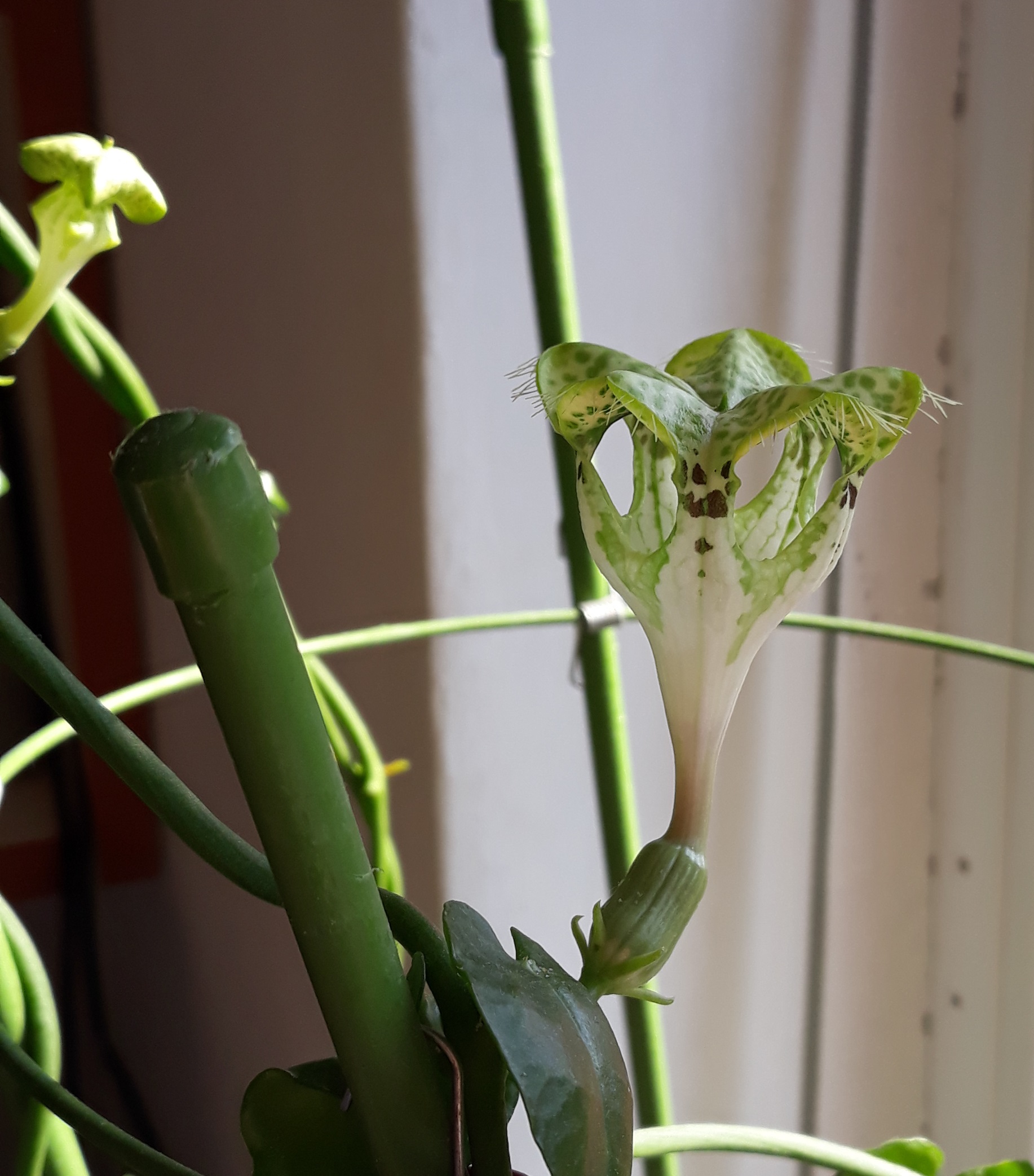 20190502_162611.jpg