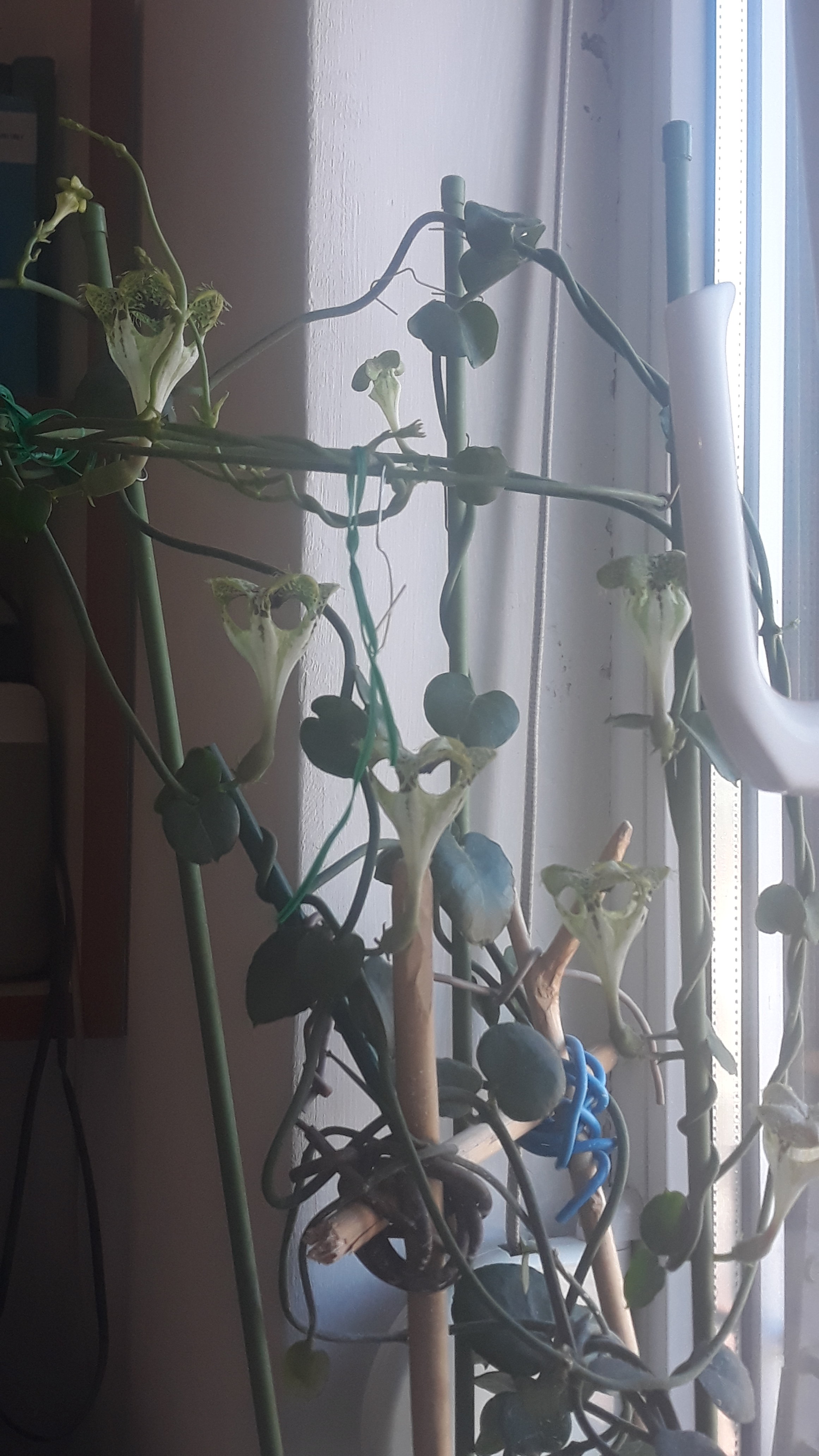 20190528_083330.jpg