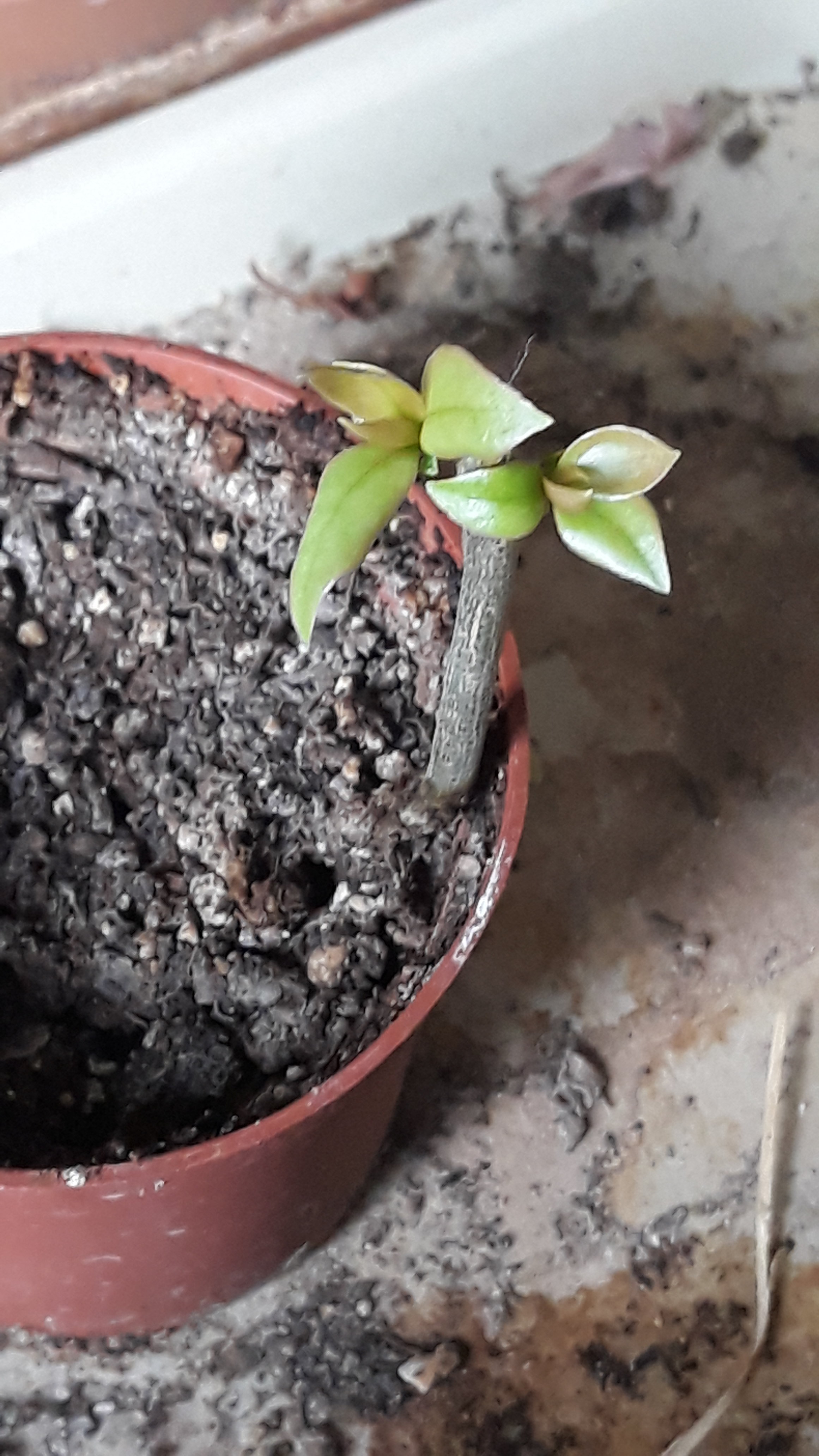 20190620_091222.jpg