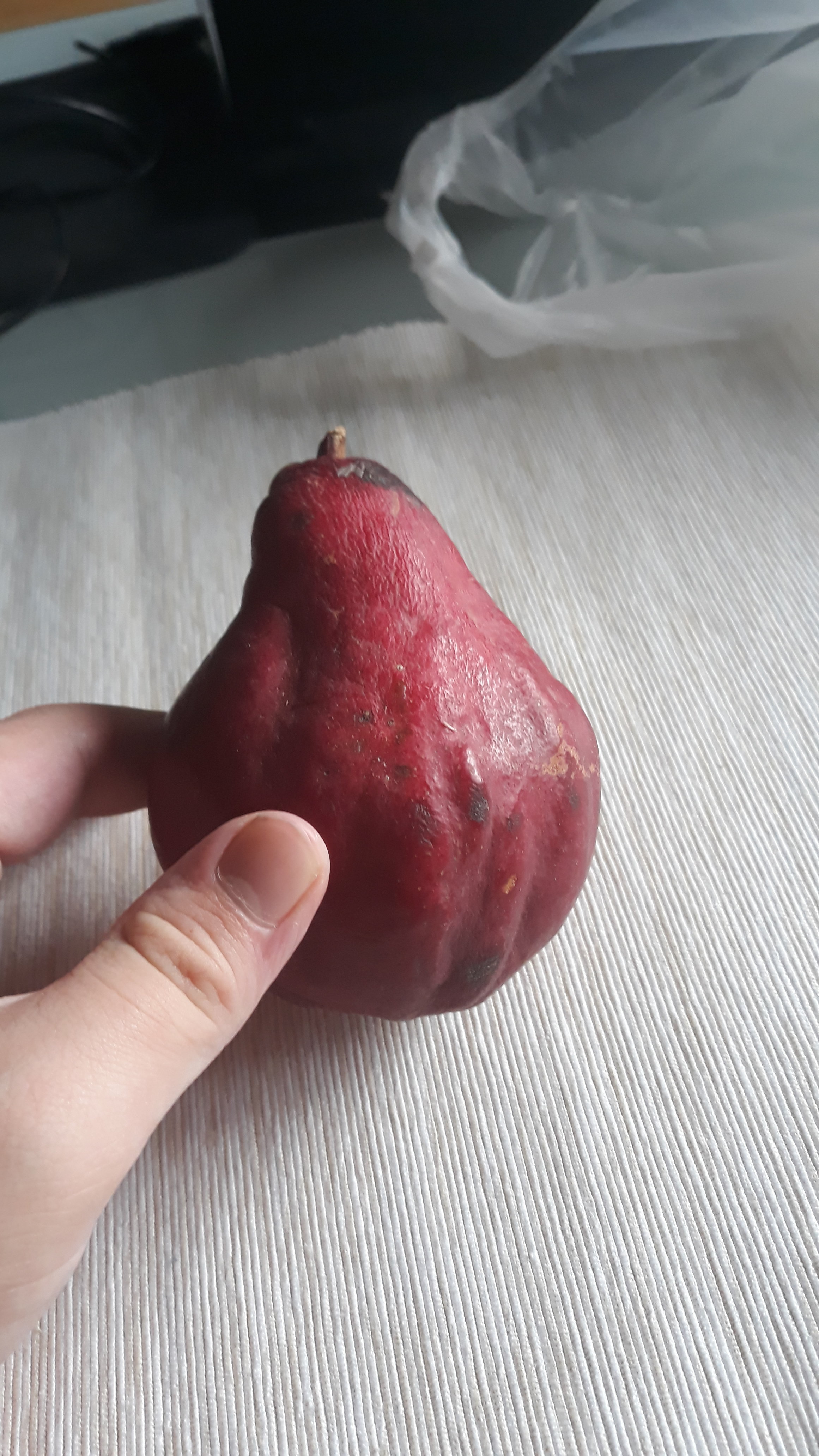 20190923_075548.jpg