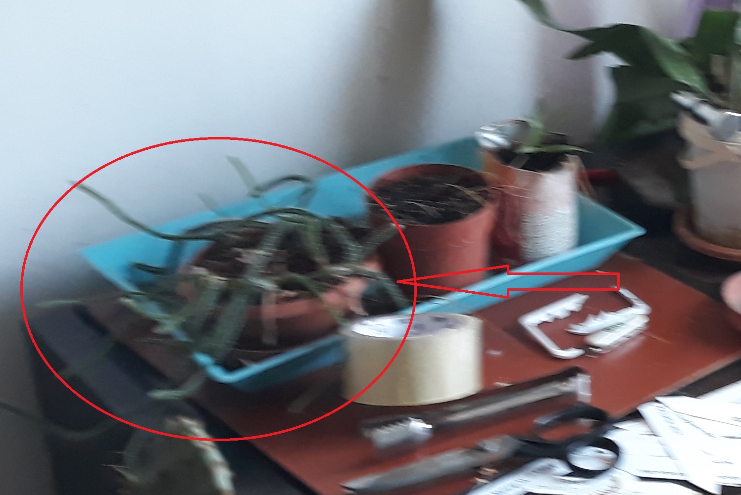 20191030_113041.jpg