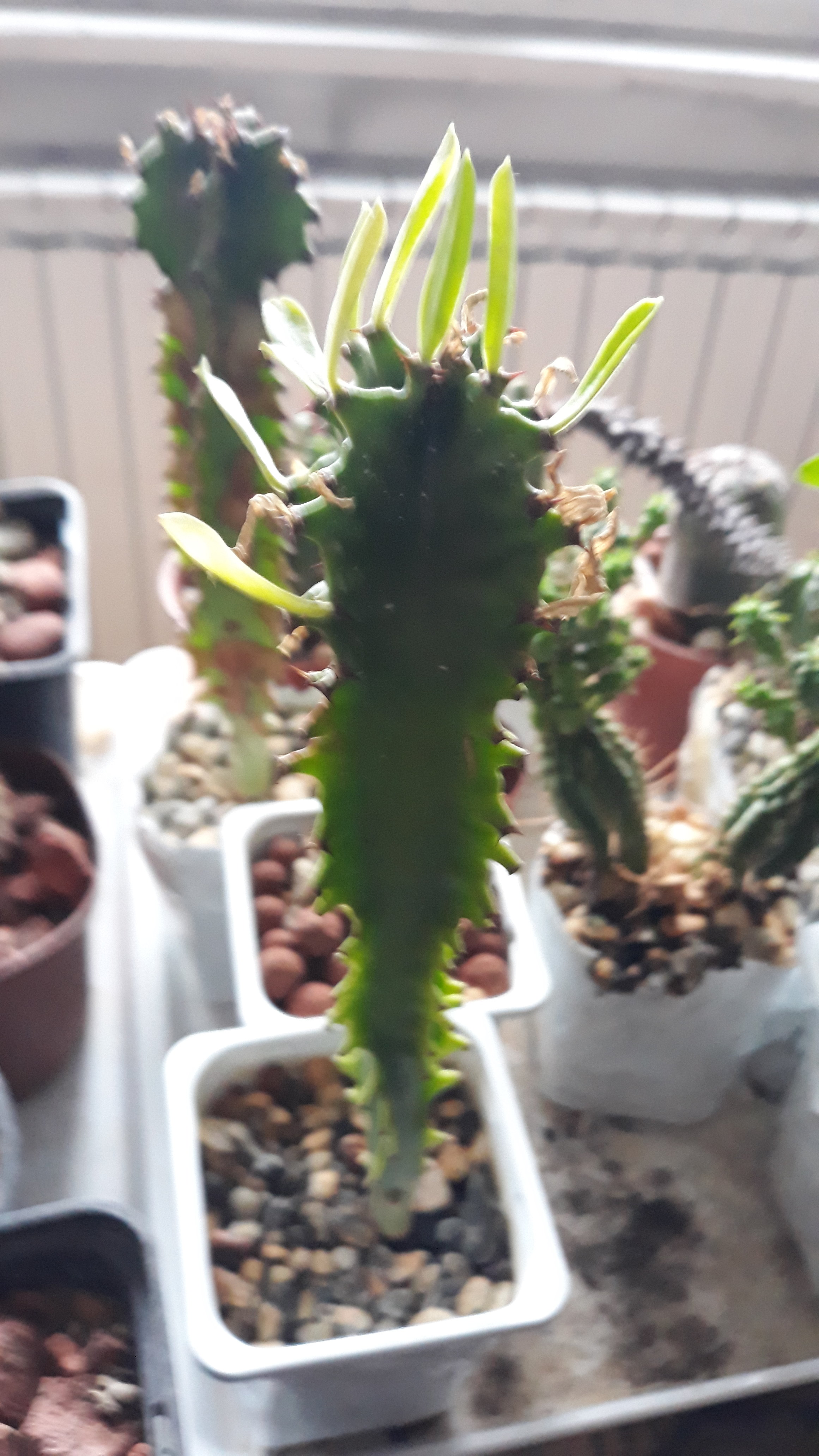 20191211_141239.jpg