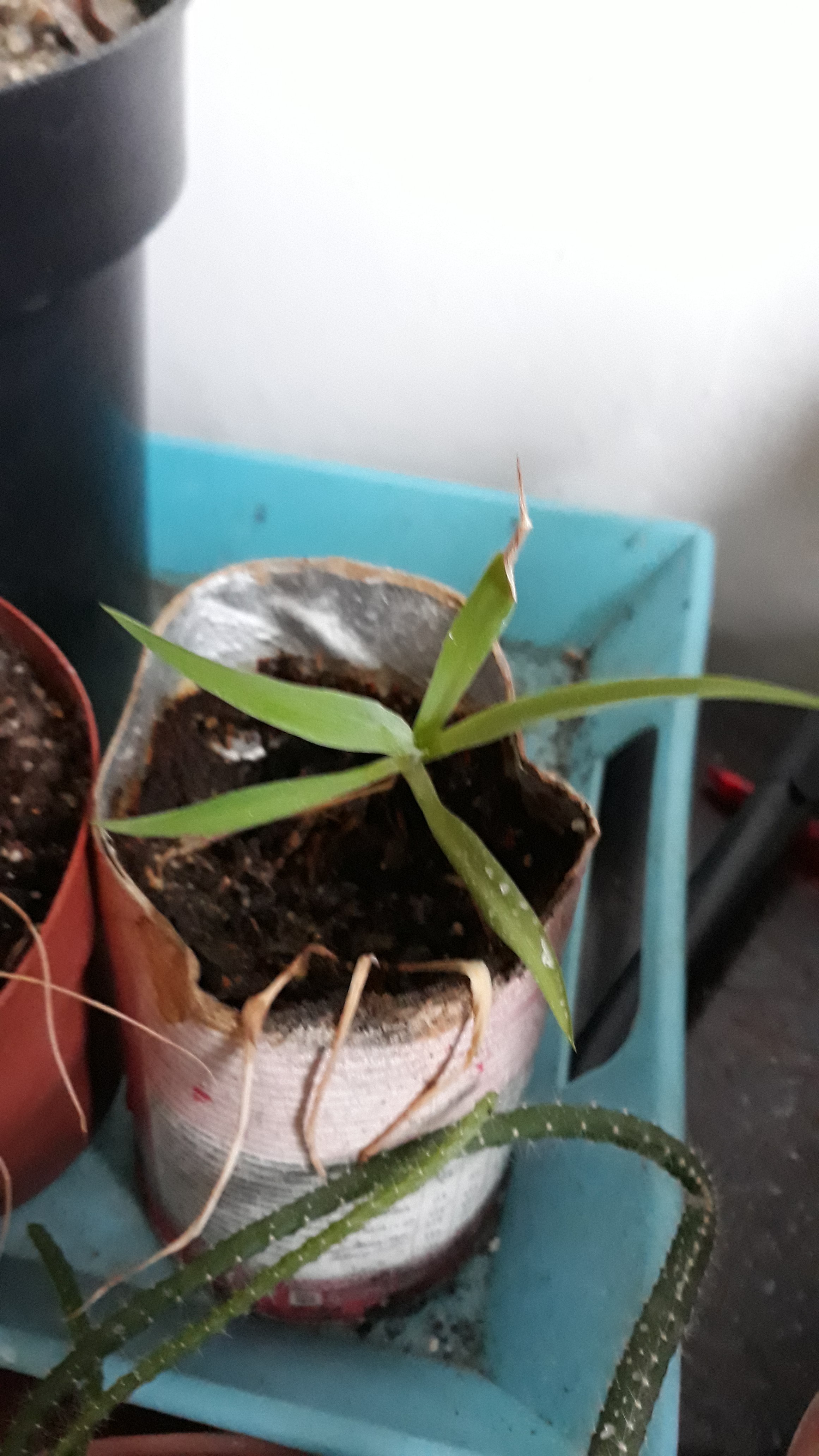 20191211_142550.jpg