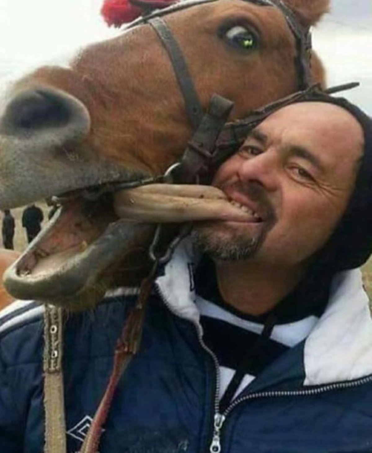 Cursed+images+26_ffc5f9_7047565.jpg