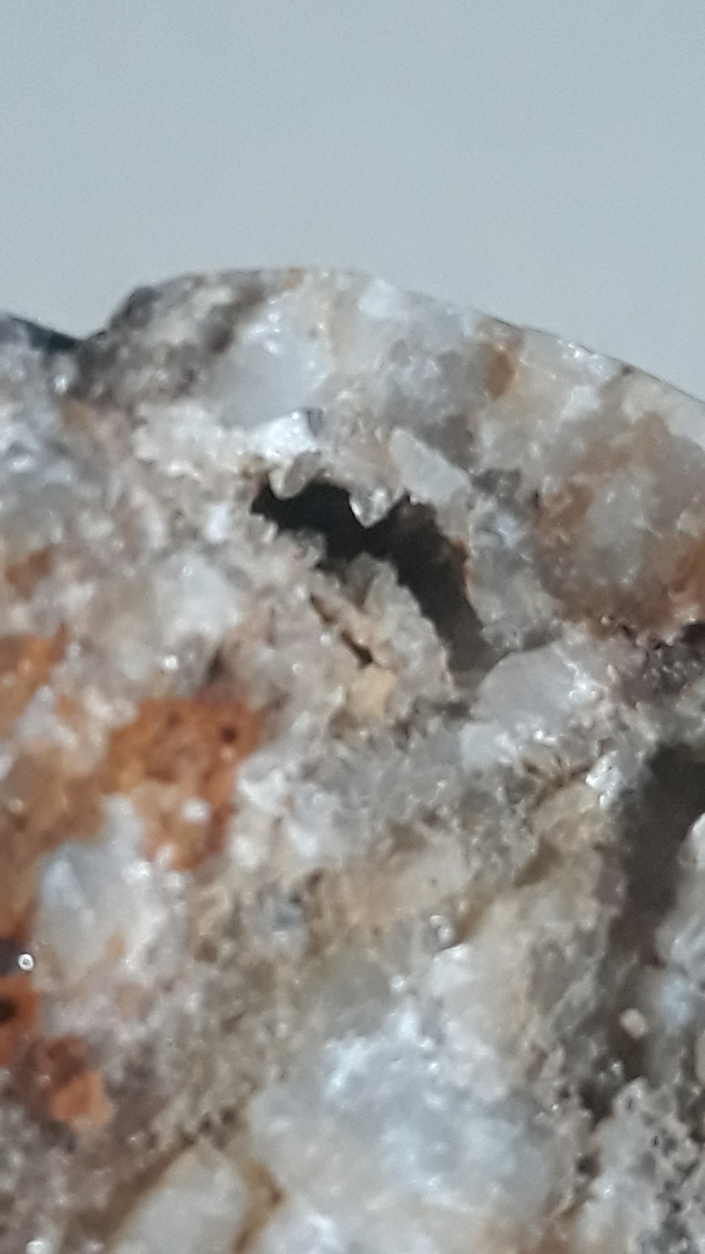 20200612_193827[1].jpg