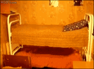 3.gif