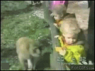 4a116596d3a15d4ad9fe5f3789095a39.gif