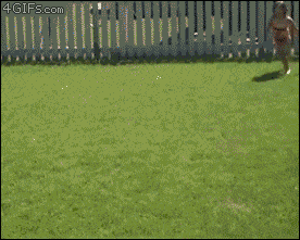 4iB7y5spQiCPFGvOiHql_Slip And No Slide.gif