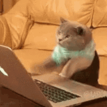 5FED24AC-CB90-4849-8C07-A6CEDC57CFA4.gif
