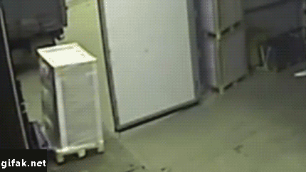 787.gif