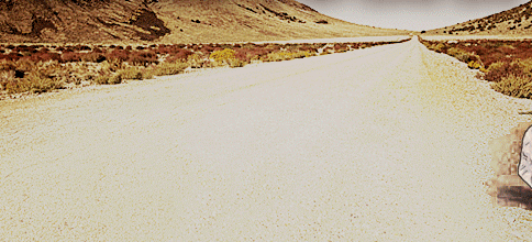 8qpei_19654.gif