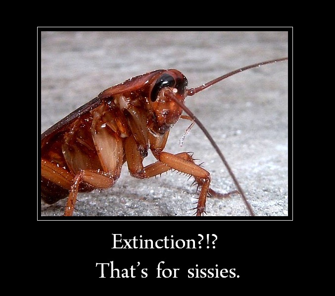 Extinction for sissies.jpg