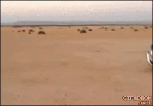 g-10.gif