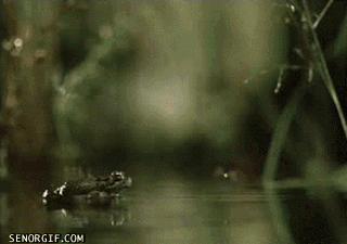 g-15;.gif