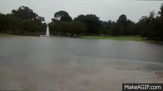 g-21.gif