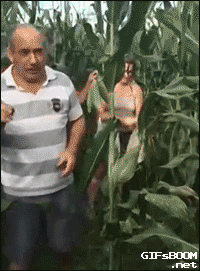 g-6.gif