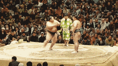 g-6.gif