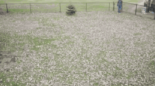 g-9.gif
