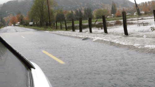 gif-17.gif
