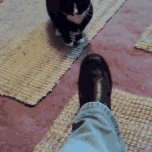 gif-20.gif