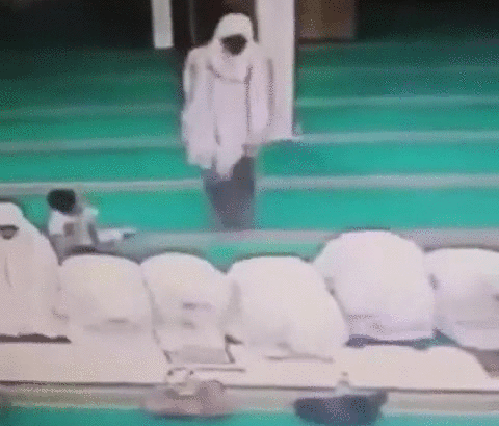 gif-3.gif