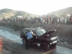 gifs_12.gif