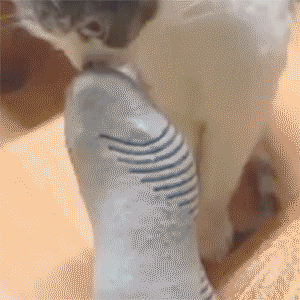 gifs_18.gif