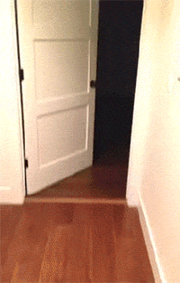 gifs_19.gif
