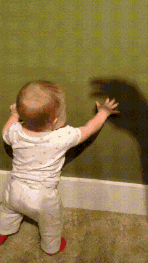 L20hriroRV6EiesC9a6A_Baby Shadow Fall.gif