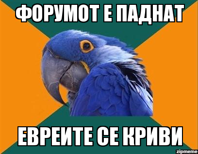 paranoid parrot.png