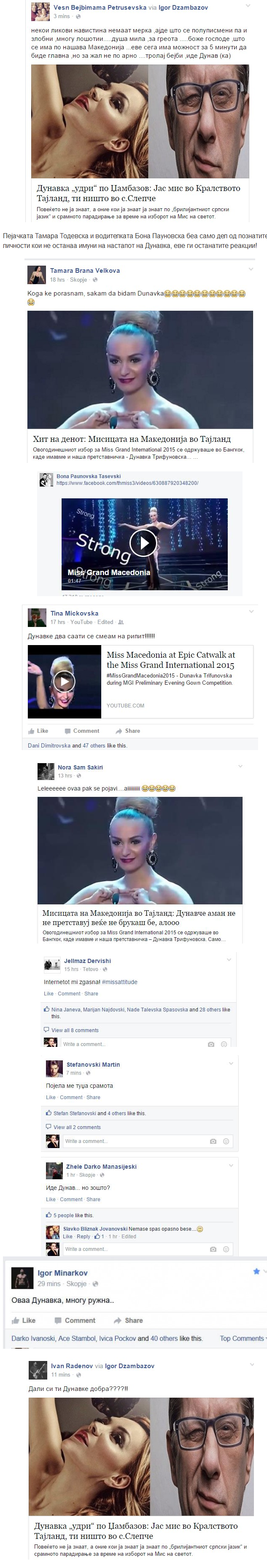 screenshot-vistina mk 2015-11-13 14-32-54.png