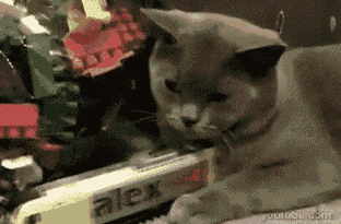 секс, после 10 години брак .gif