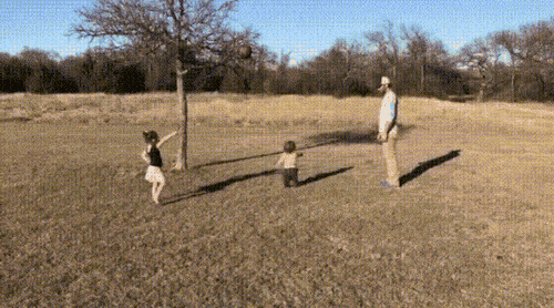 TGsc2sxkRxOGUmpsOkZP_dad gets ball out of tree.gif
