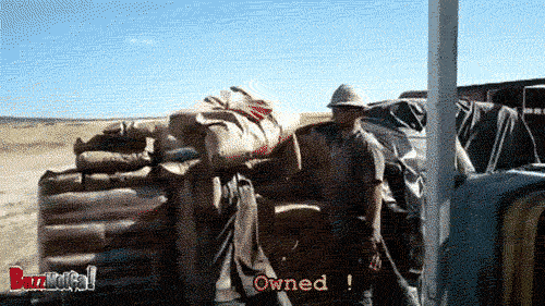 tumblr_mqh1o2AB7u1s6zpepo1_500.gif
