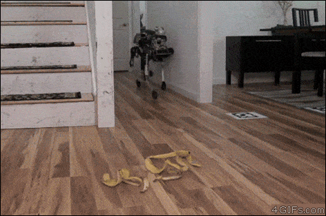Wjctme81RvKkhb9fLOls_Robot%20Dog%20Banana%20Peel.gif